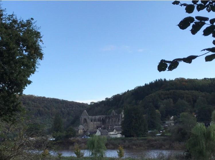 Woodmill Farm Cottage Alvington Dış mekan fotoğraf